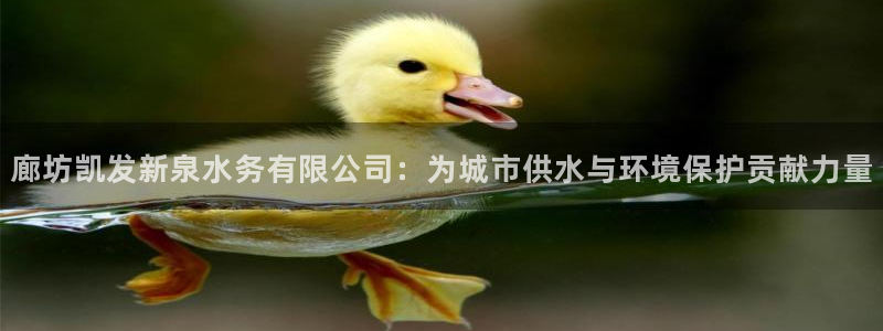成都市开心彩之韵印刷有限公司：廊坊凯发新泉水务有限公司：为城市供水与环境保护贡献力量