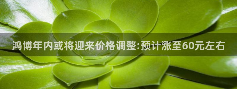开心彩app下载：鸿博年内或将迎来价格调整:预计涨至60元左右