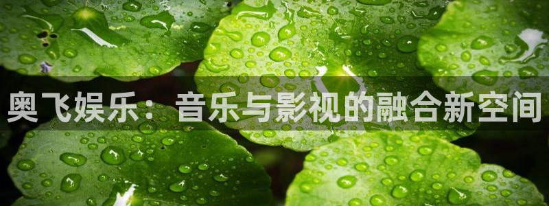 开心激情第六色：奥飞娱乐：音乐与影视的融合新空间