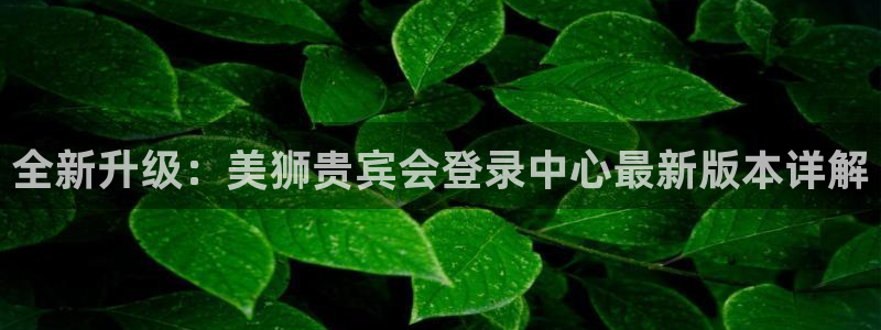 开心彩welcome购彩手机版：全新升级：美狮贵宾会登录中心最新版本详解