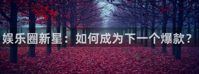 开心彩手机版：娱乐圈新星：如何成为下一个爆款？