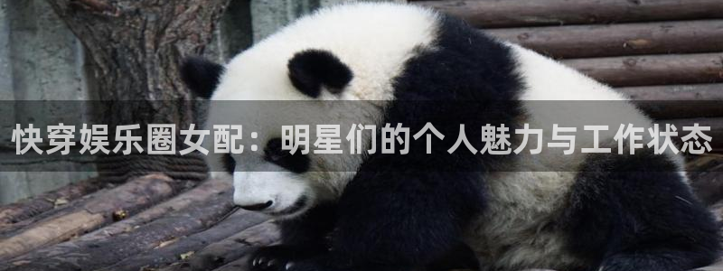 开心8快乐彩：快穿娱乐圈女配：明星们的个人魅力与工作状态