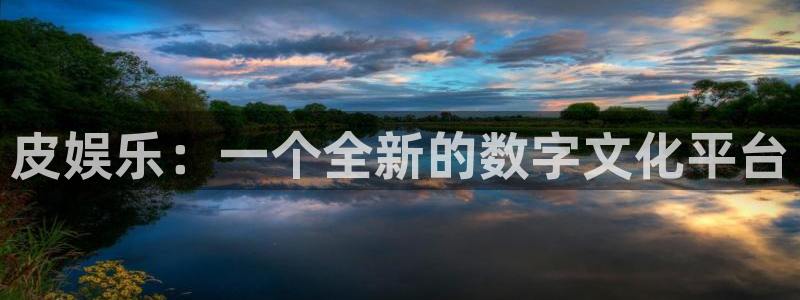 手机版开心网：皮娱乐：一个全新的数字文化平台