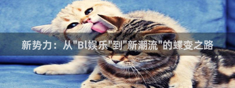 开心彩：新势力：从\