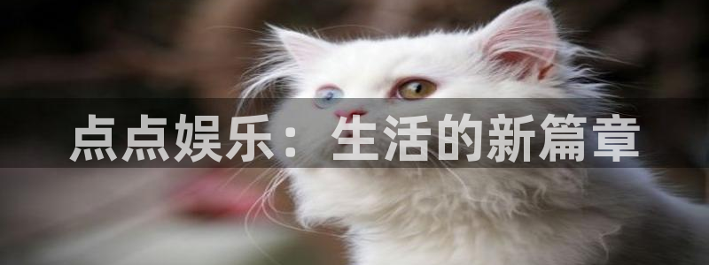 开心彩下载手机版：点点娱乐：生活的新篇章