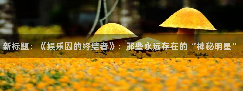 开心8快乐彩：新标题：《娱乐圈的终结者》：那些永远存在的“神秘明星”
