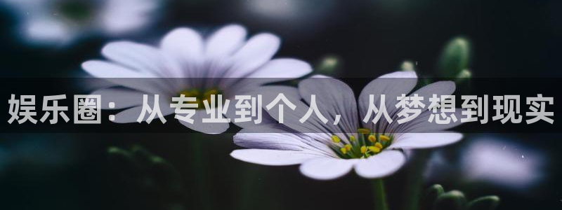 开心激情第六色：娱乐圈：从专业到个人，从梦想到现实